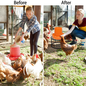 Mezchi stand features a chicken-pattern design for coop decor.