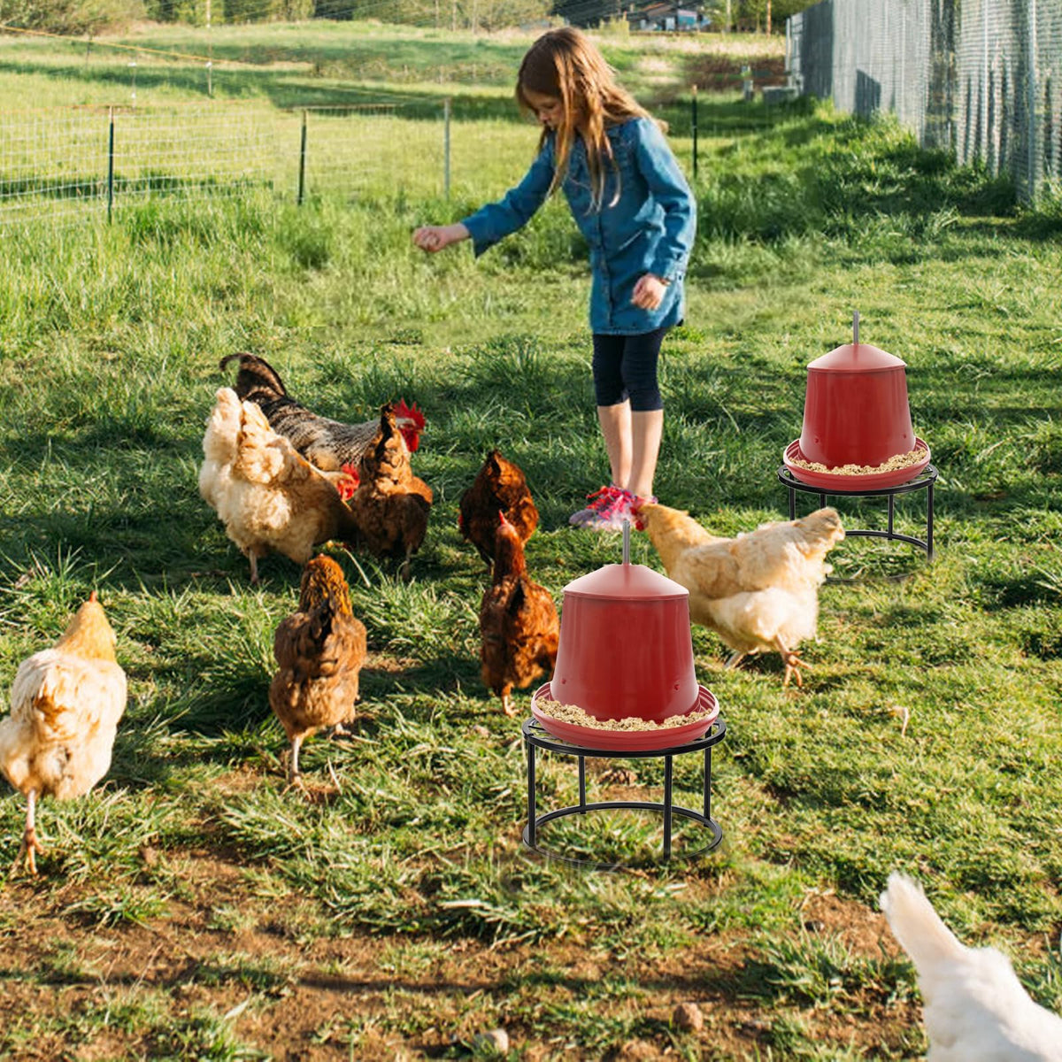 Mezchi versatile poultry stand for coop, garden, or balcony use.