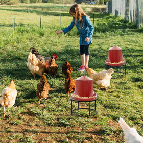 Mezchi versatile poultry stand for coop, garden, or balcony use.