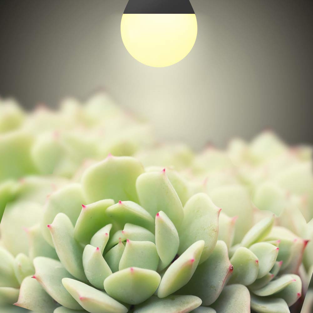 mfxmf LED grow light bulb with E26 base for easy installation.