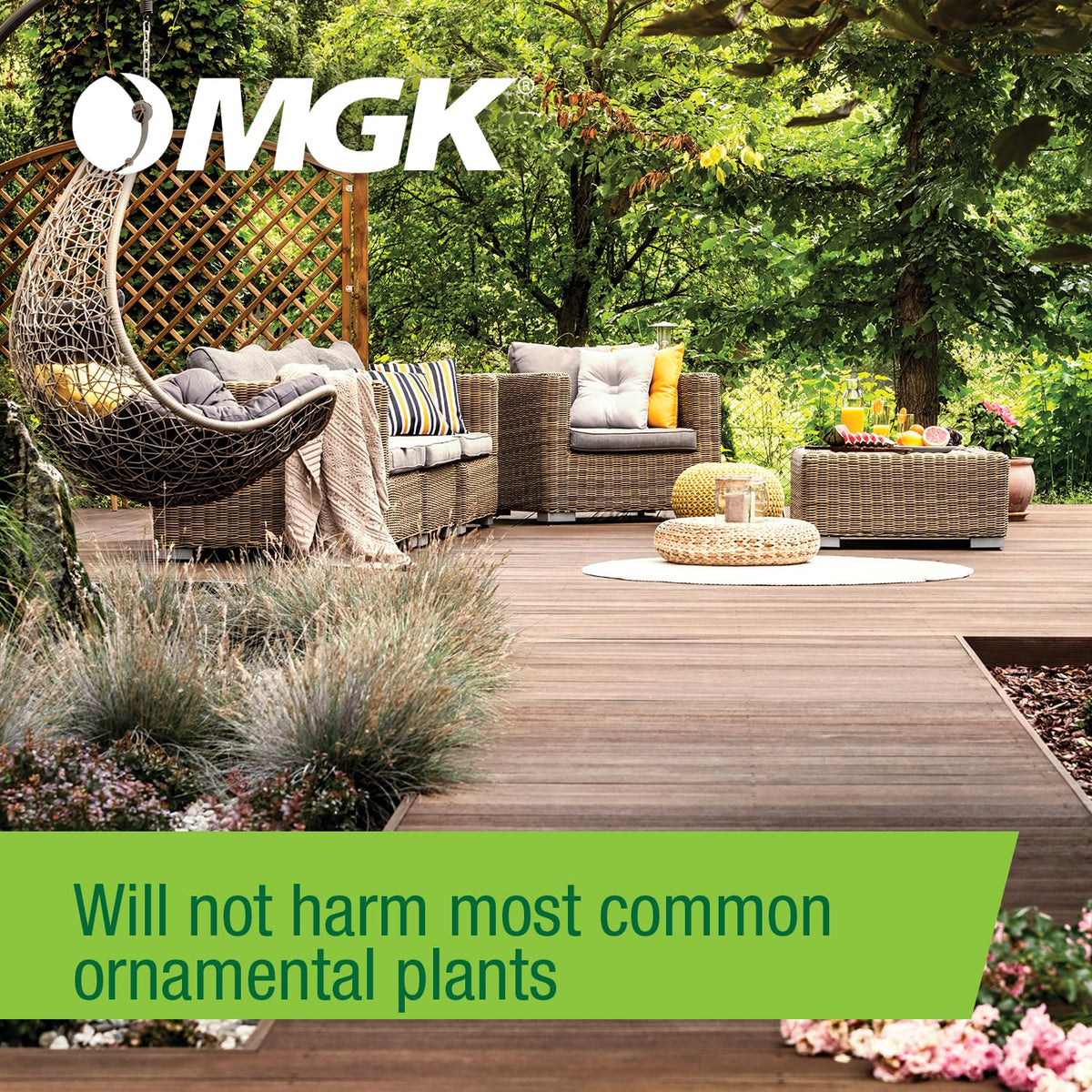 Sector Misting Concentrate label and dilution guidance for safe use