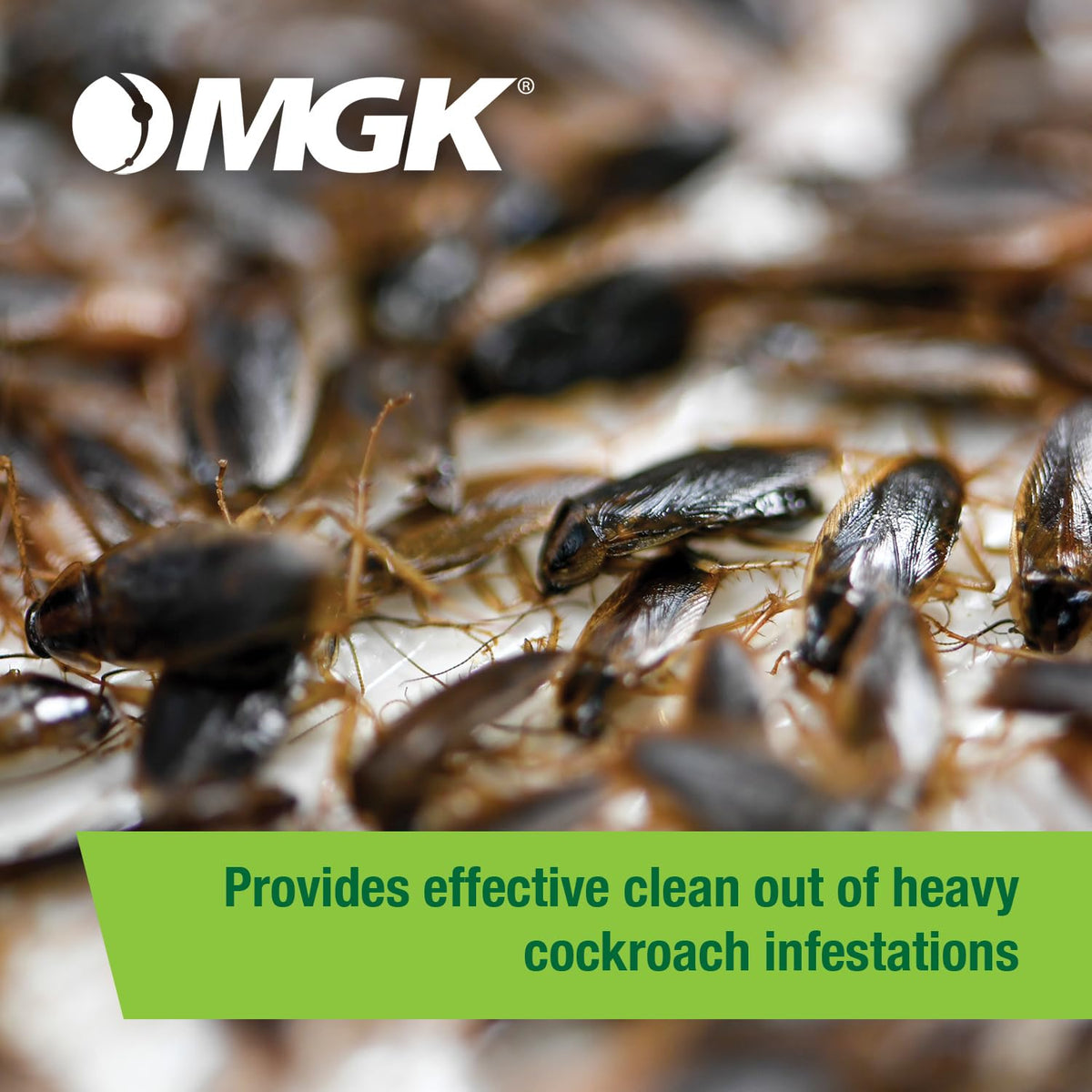 MGK Vendetta Nitro indoor roach control in kitchens and storage areas.