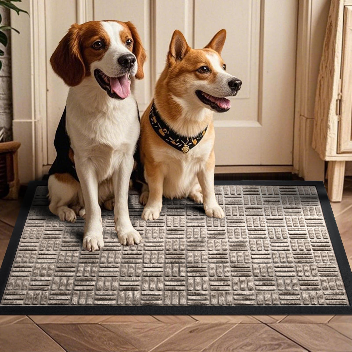Mibao large 35.5 x 24 inch mat for busy entrances