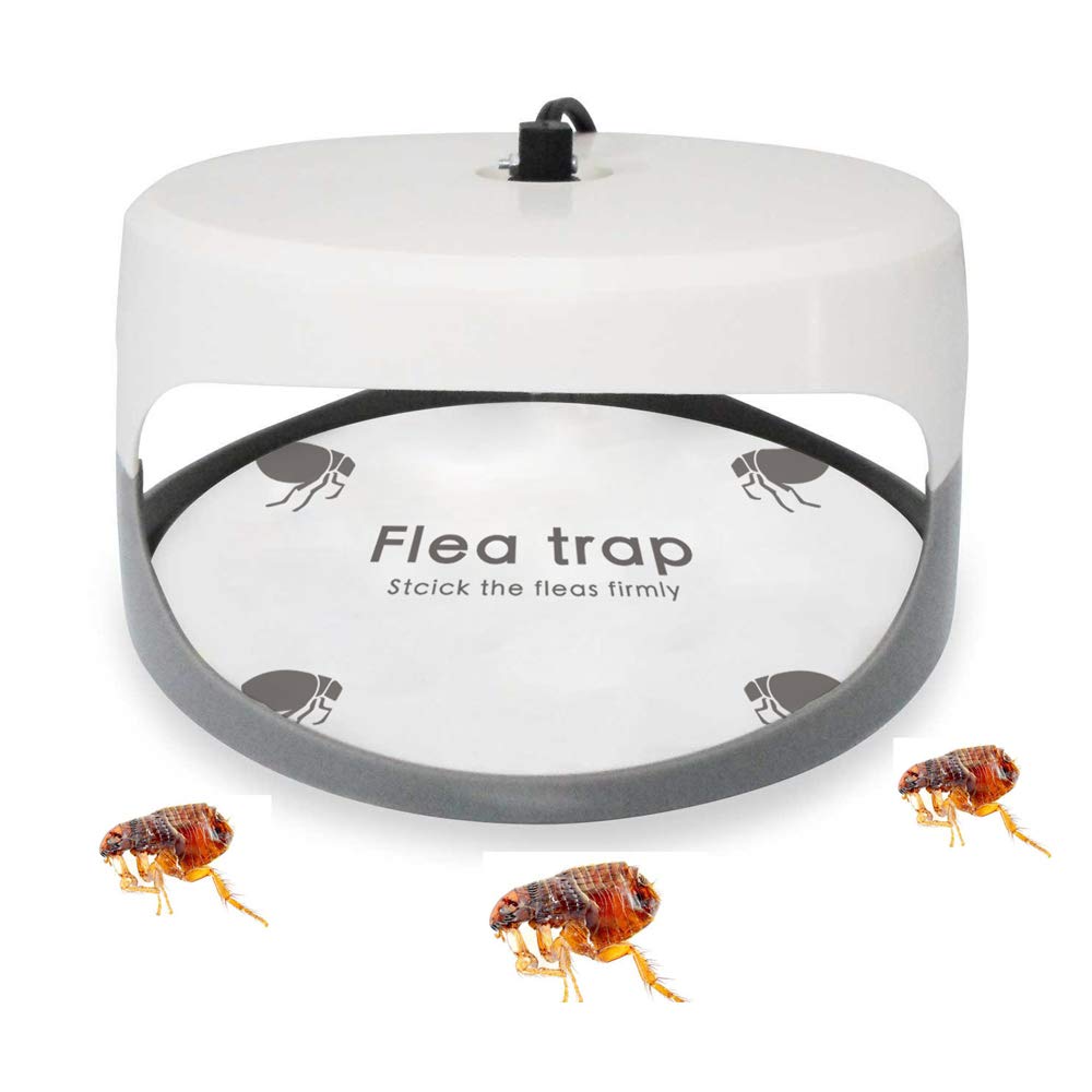 Micnaron easy to assemble refill for quick setup and uninterrupted pest monitoring.