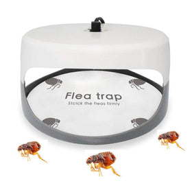 Micnaron easy to assemble refill for quick setup and uninterrupted pest monitoring.