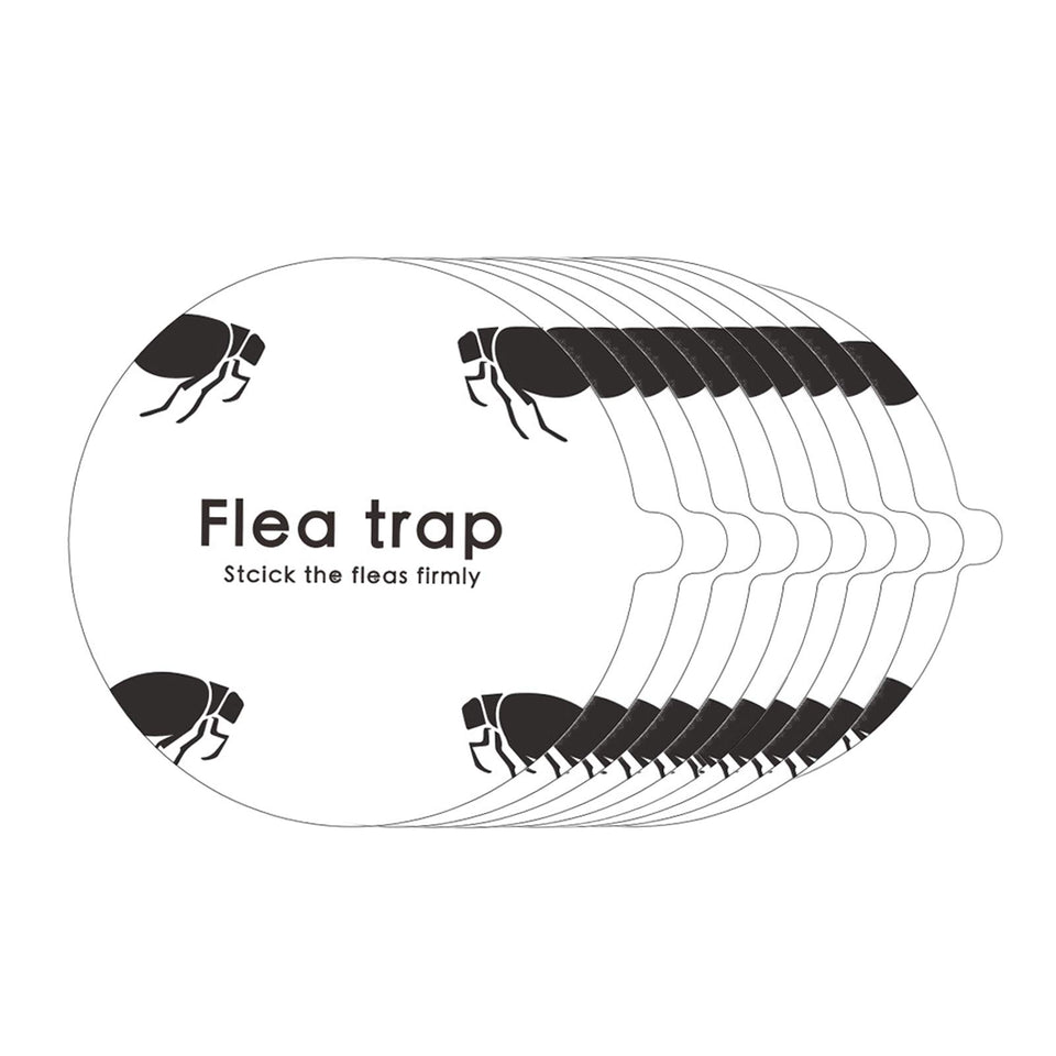 Micnaron flea trap refill 10-pack shown for easy indoor flea control and cost efficiency.