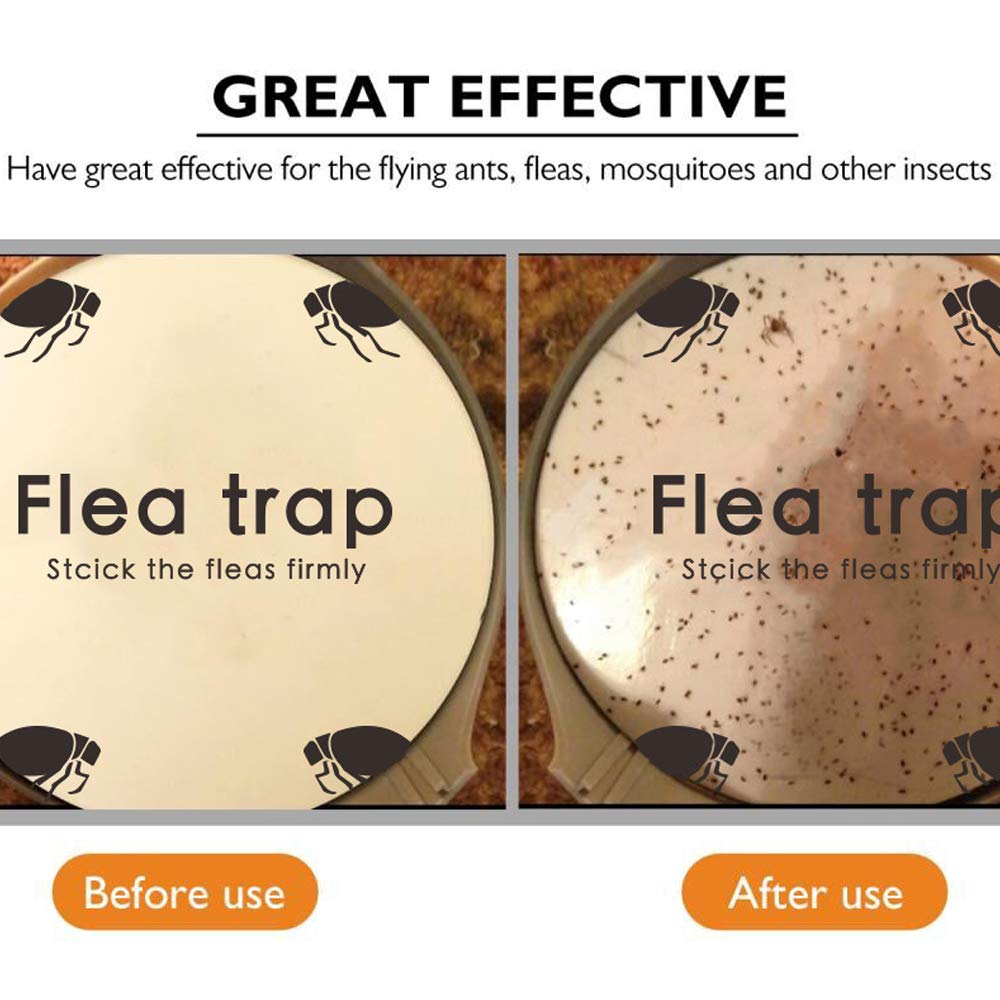 Micnaron natural glue disc 7-1-inch refill highlights strong, odor-free adhesion for flea capture.