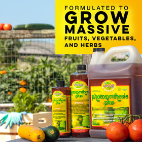 Microbe Life Hydroponics Photosynthesis Plus pour shows quick mixing for uptake.