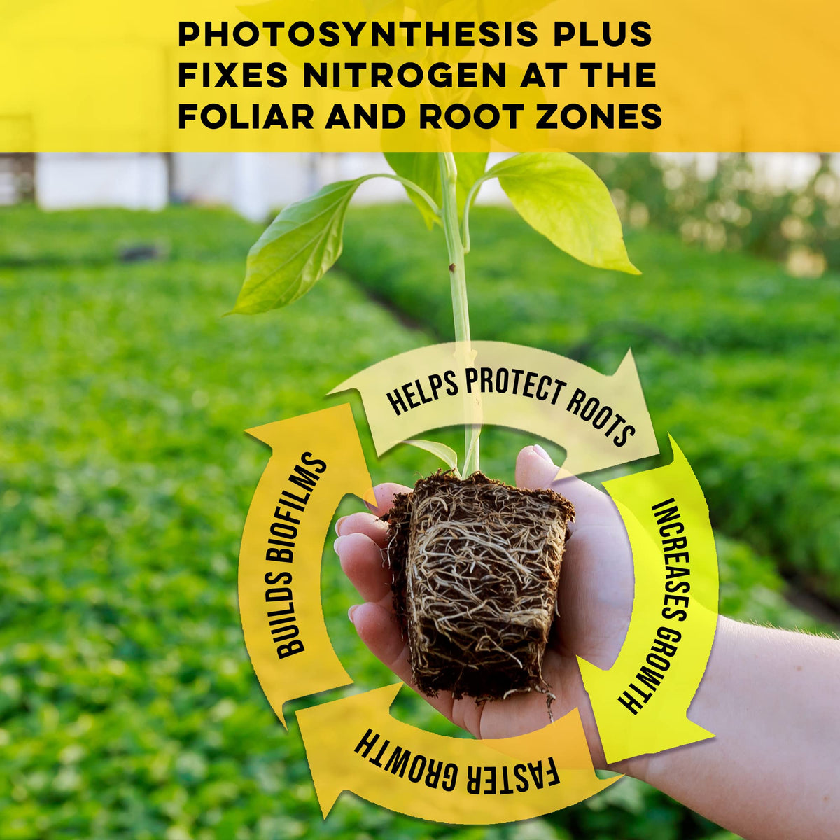 Microbe Life Hydroponics Photosynthesis Plus root-zone image illustrates nutrient uptake.