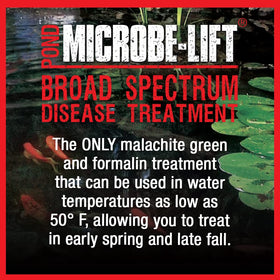 MICROBE-LIFT BSDT16 packaging displayed for pond care