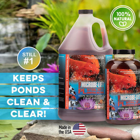 Koi-safe pond scene with MICROBE-LIFT PL for fish-friendly care.