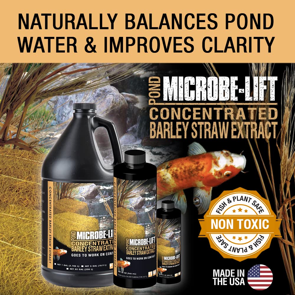 MICROBE-LIFT pond water becoming clearer with barley straw extract