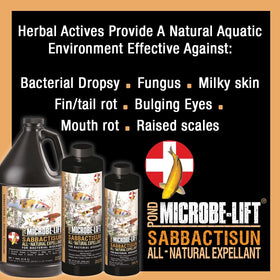 MICROBE-LIFT Sabbactisun dosing pour demonstrates easy application in ponds for healthier fish
