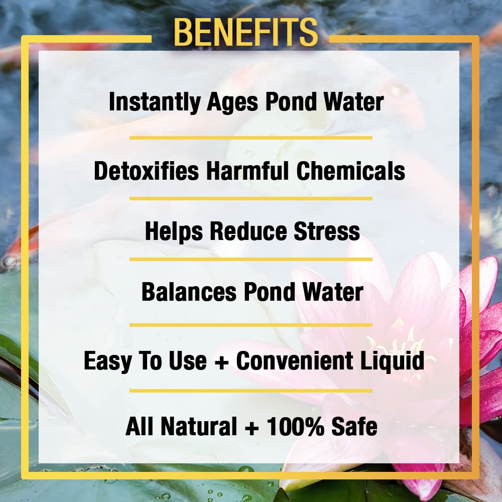 Microbe-Lift XTP conditioning koi pond water for healthier inhabitants