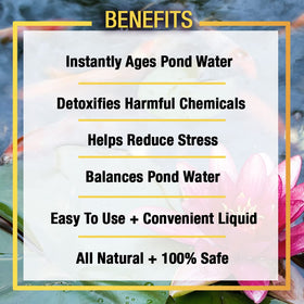 Microbe-Lift XTP conditioning koi pond water for healthier inhabitants