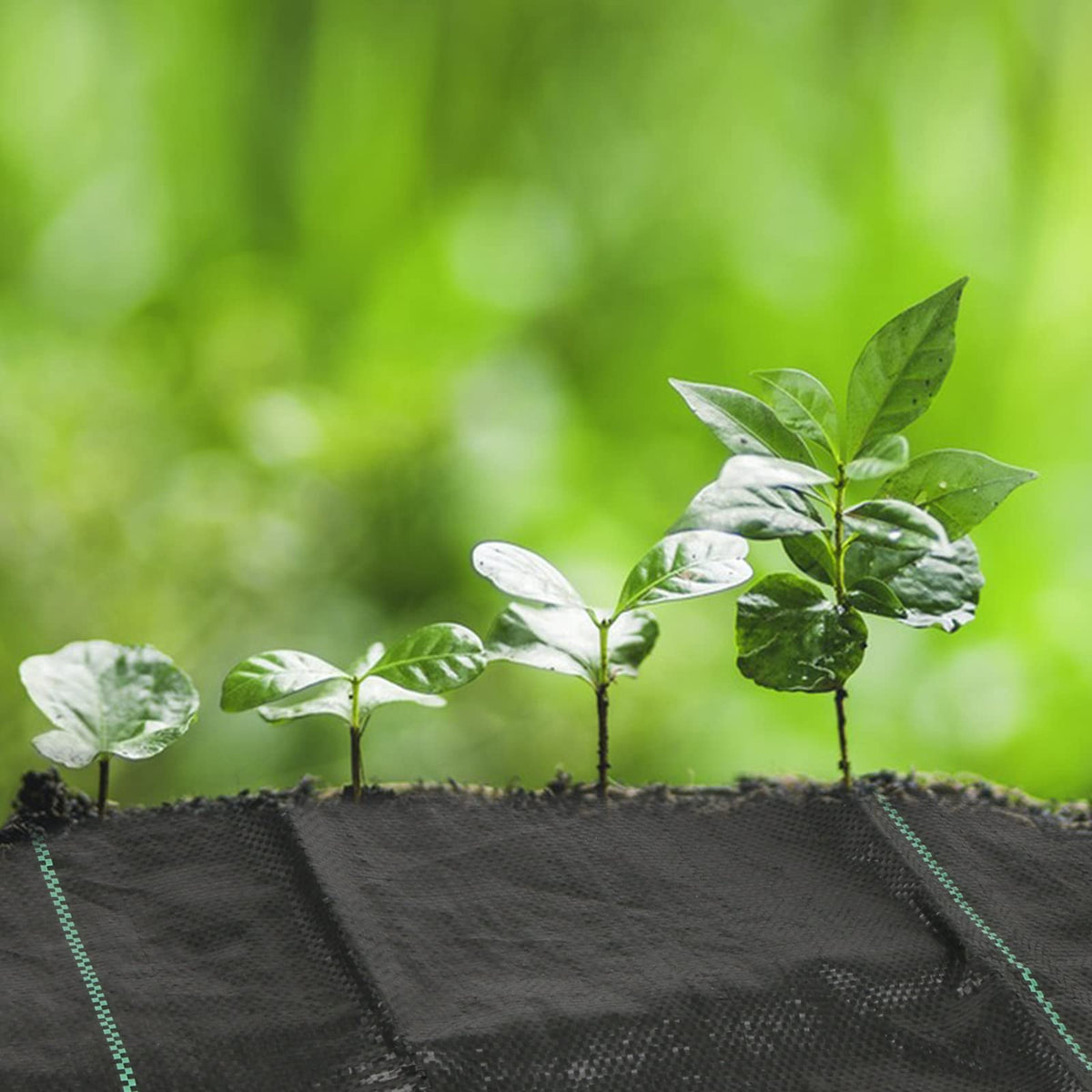 MIDELONG weed barrier ideal for small beds and paths.