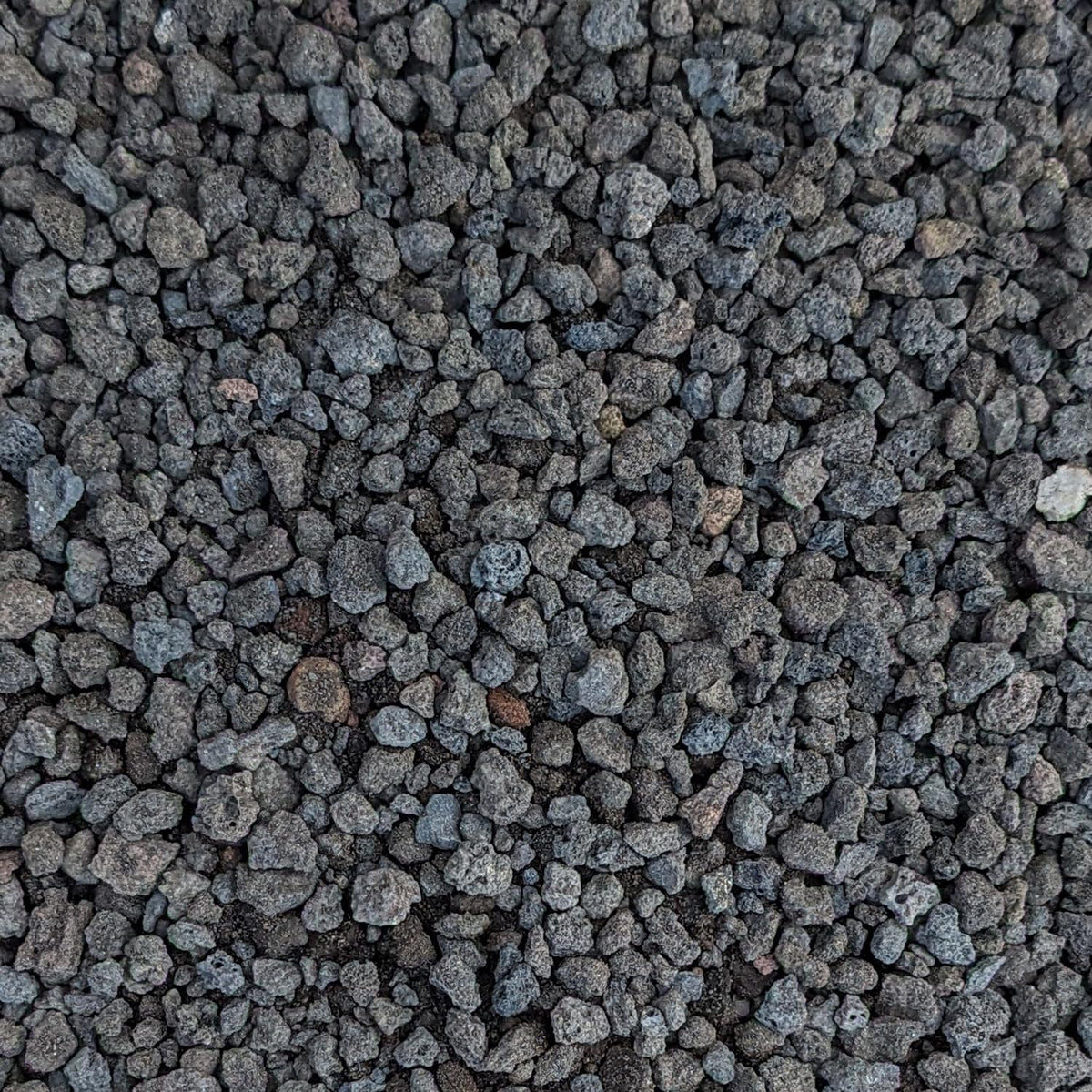 Midwest Hearth black lava rocks, 1/4-inch size for planter drainage.