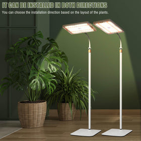 MIEEMCLUX adjustable stand height for varied plant sizes