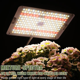 MIEEMCLUX full-spectrum plant light supporting all growth stages