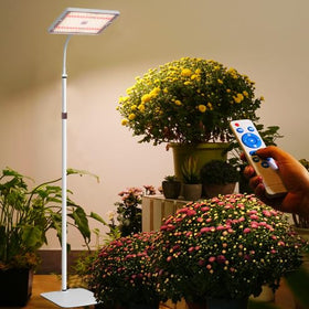 MIEEMCLUX LED grow light on floor stand illuminating indoor plants