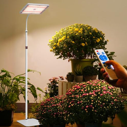 MIEEMCLUX LED grow light on floor stand illuminating indoor plants