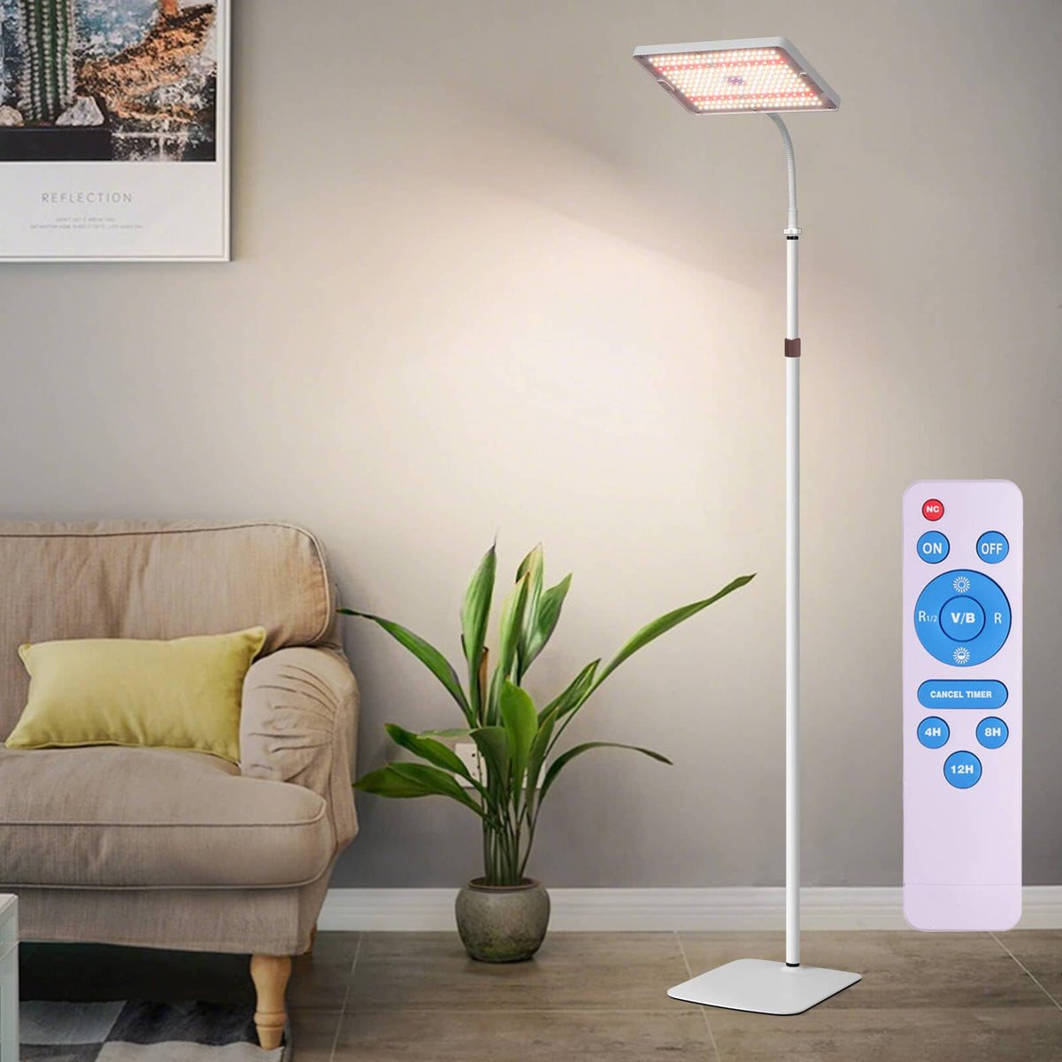 MIEEMCLUX brightness levels allow precise light control
