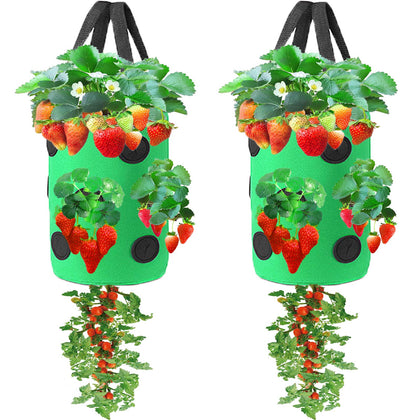 Miewslan 2 pack upside-down planter bags for space efficient tomato growing