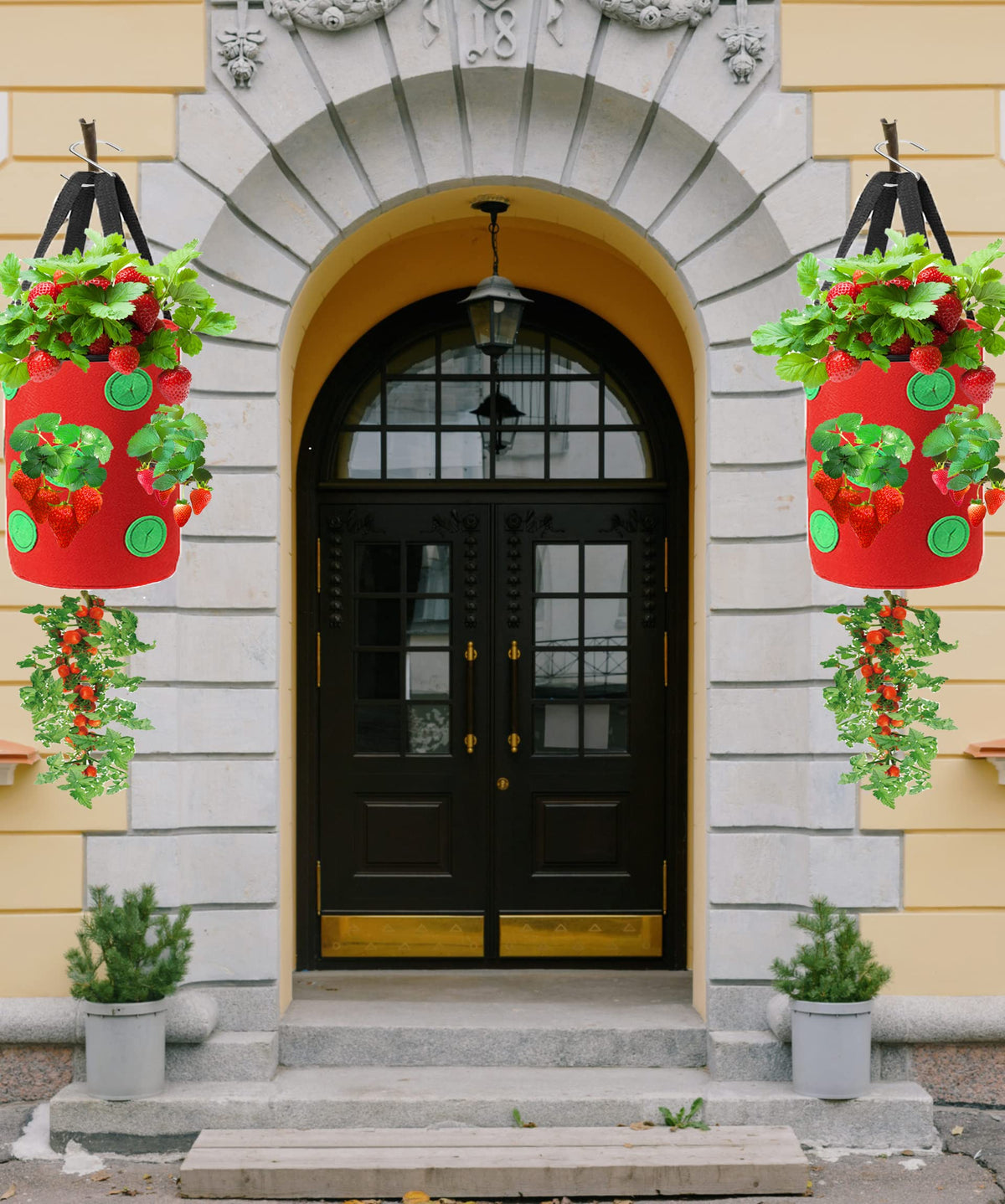 Miewslan eco-friendly, breathable planter supports easy maintenance and reuse
