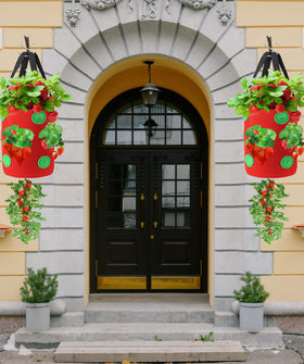 Miewslan eco-friendly, breathable planter supports easy maintenance and reuse