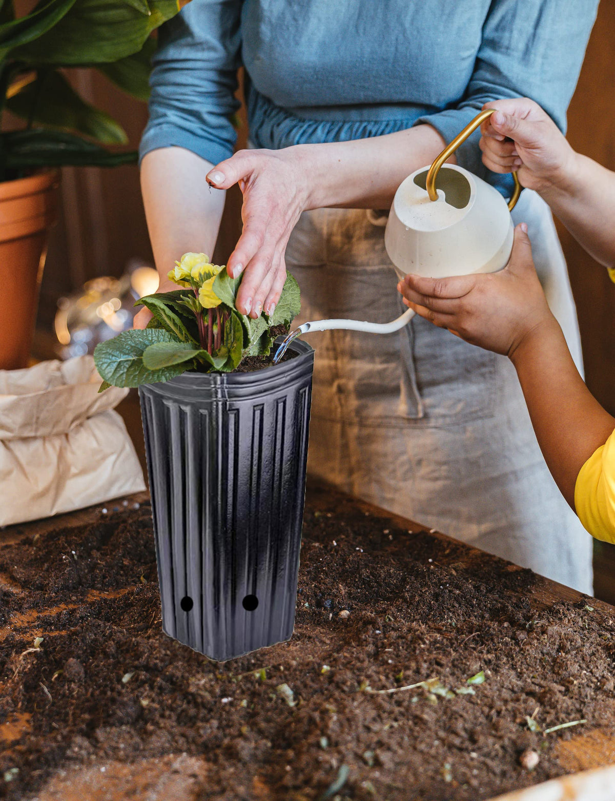 Miewslan drainage and ventilation holes promote air flow in pots.