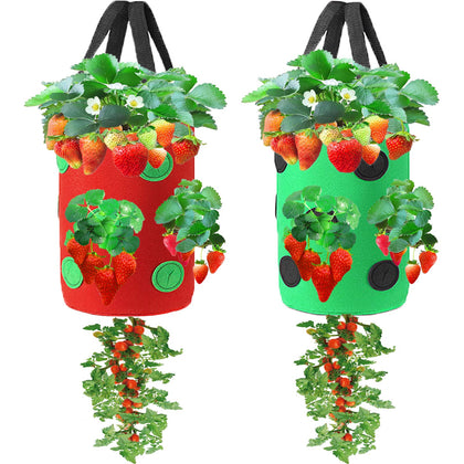 Miewslan hanging strawberry planter 2-pack for space-saving balcony gardening.
