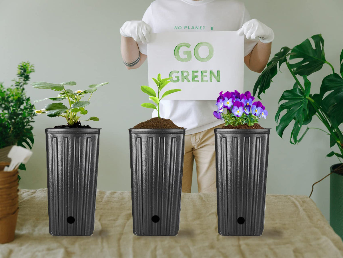 Miewslan ideal for starting vegetables, fruits, or tree seedlings.