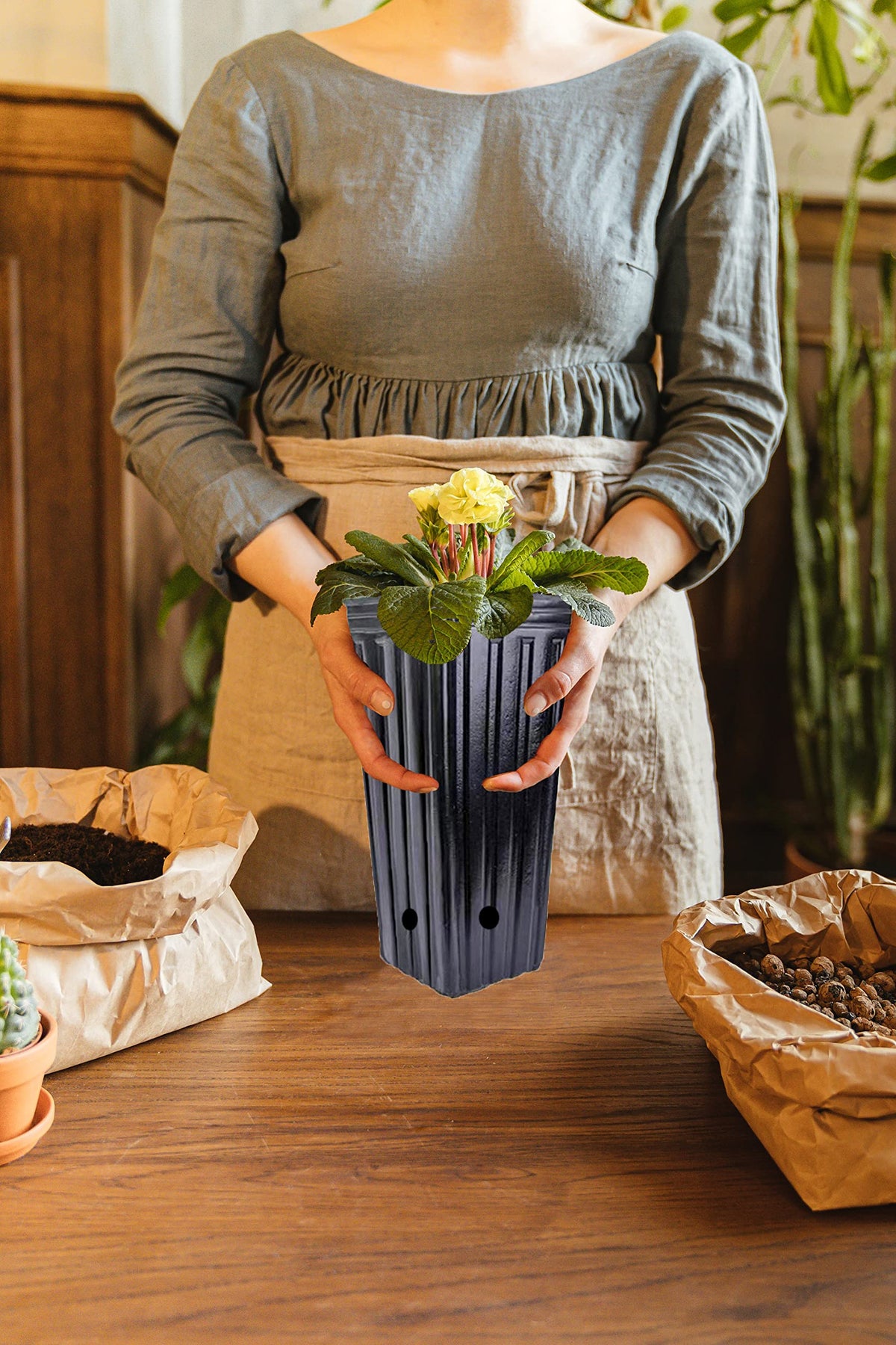Miewslan versatile for indoor and outdoor gardening projects.