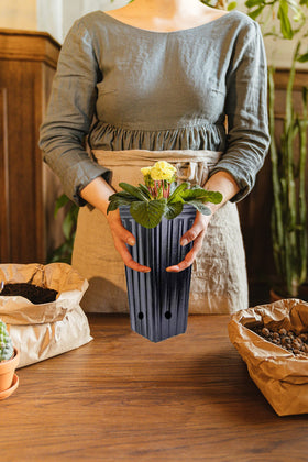 Miewslan versatile for indoor and outdoor gardening projects.