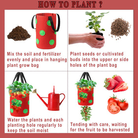 Miewslan versatile grow bag suitable for tomatoes, strawberries, potatoes, and mint