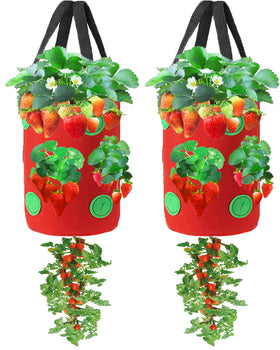 Miewslan two-pack upside-down planter bags for space-saving balcony gardening