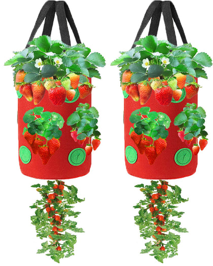 Miewslan two-pack upside-down planter bags for space-saving balcony gardening