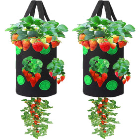 Miewslan two-pack hanging planter bags for space-saving balcony gardens.