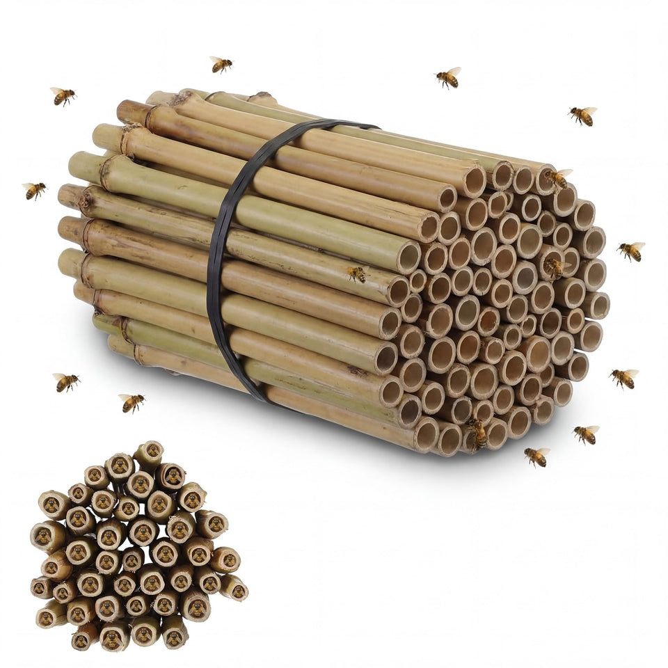 Mifoci mason bee bamboo tubes with closed ends for nest sites in a bee hotel