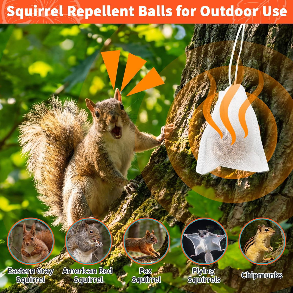 Migdracy corn cob carrier ball visible for long-lasting outdoor protection