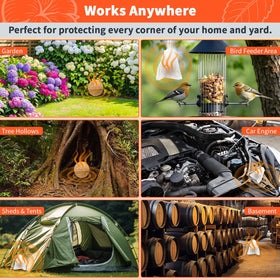Migdracy safe family-friendly deterrent around homes and vehicles