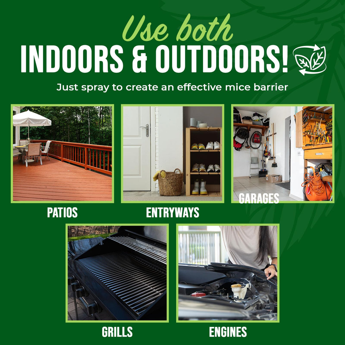 Attic and basement areas treated with Mighty Mint for rodent deterrence