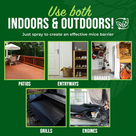 Attic and basement areas treated with Mighty Mint for rodent deterrence