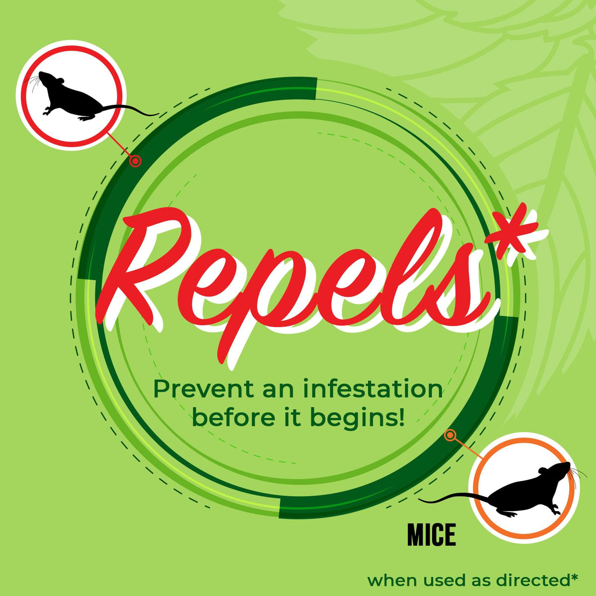 Indoor baseboards treated with Mighty Mint for rodent deterrence