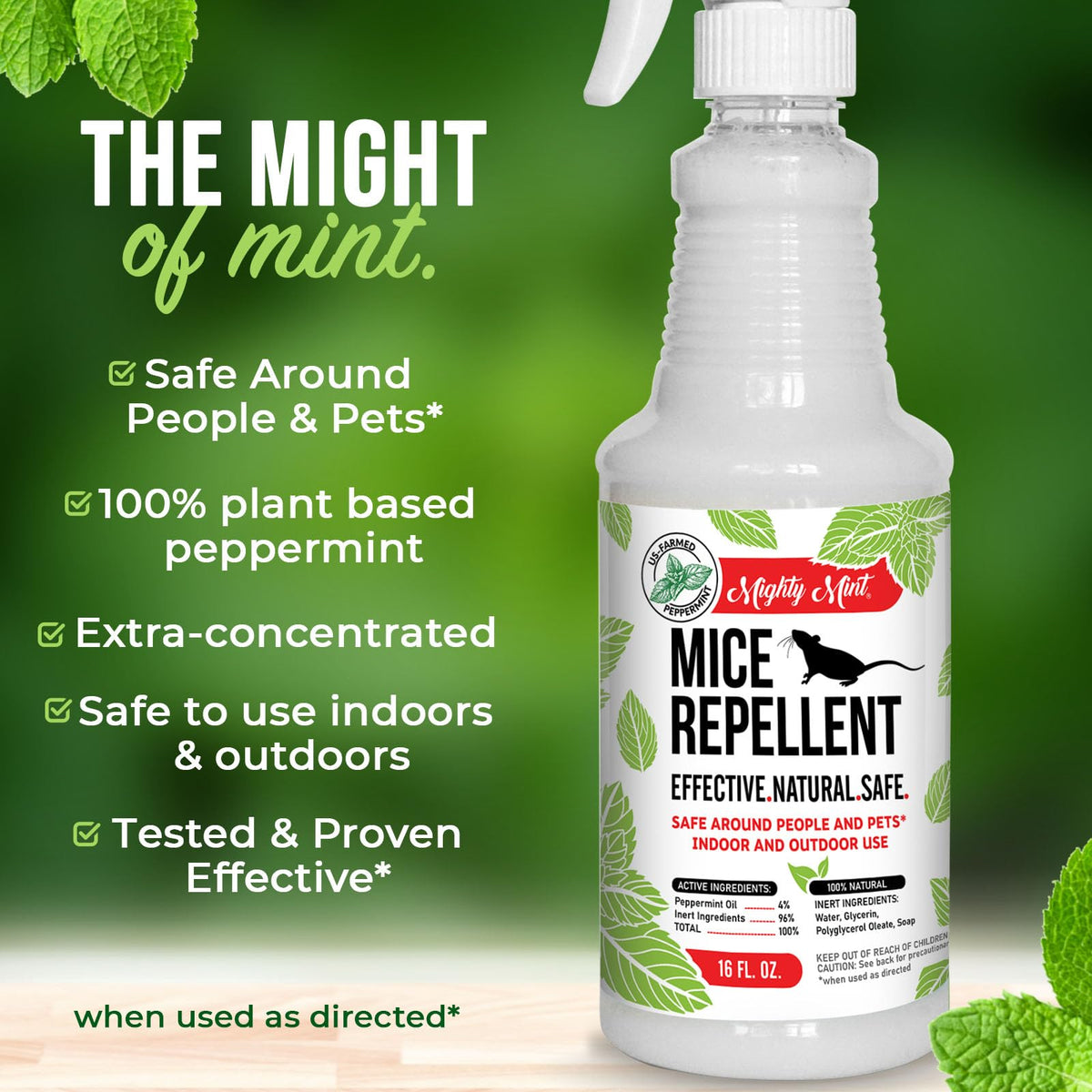 Outdoor space application of Mighty Mint for versatile use