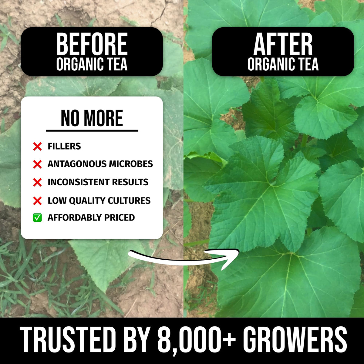 Mighty Plant Organic Instant Compost Tea foliar spray promotes vibrant growth