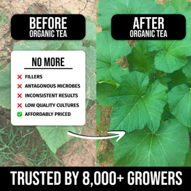 Mighty Plant Organic Instant Compost Tea foliar spray promotes vibrant growth
