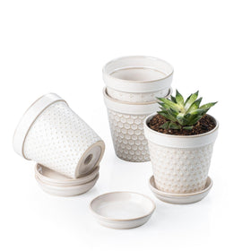 MIKIGEY ceramic succulent pot with embossed design for stylish indoor greenery