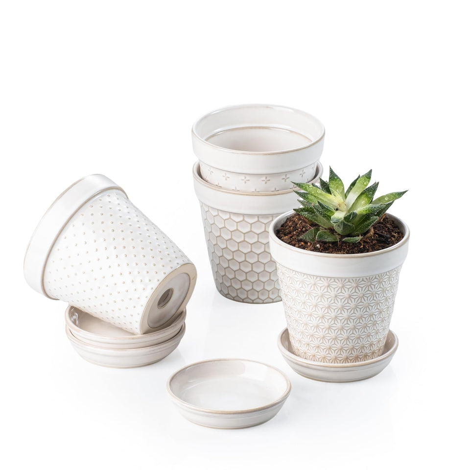 MIKIGEY ceramic succulent pot with embossed design for stylish indoor greenery