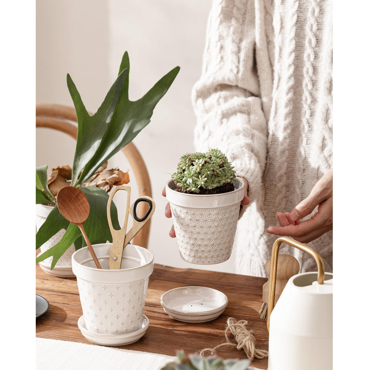 MIKIGEY planter with saucer protects surfaces while showcasing plants